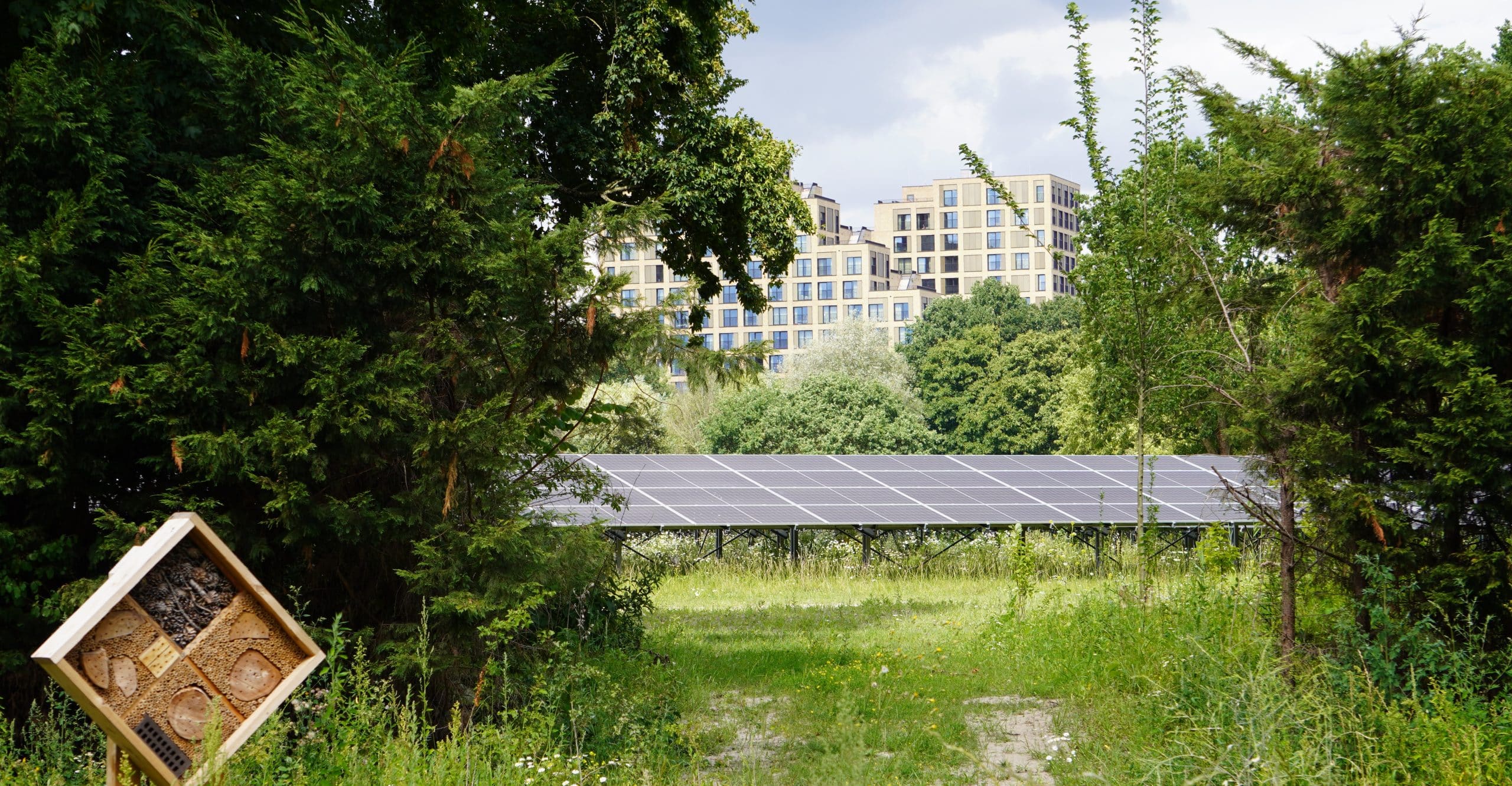 Nettion Energiezekerheid